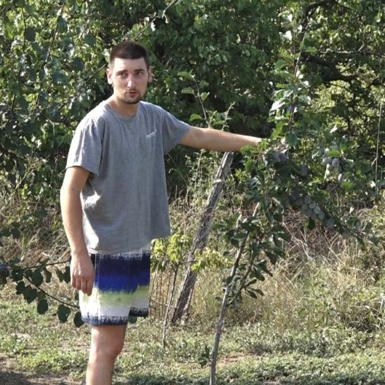 VOĆARI ZADOVOLjNI OVOGODIŠNjIM RODOMŠljive prerodile