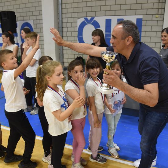 BEOČIN I SREMSKA MITROVICALiga malih šampiona