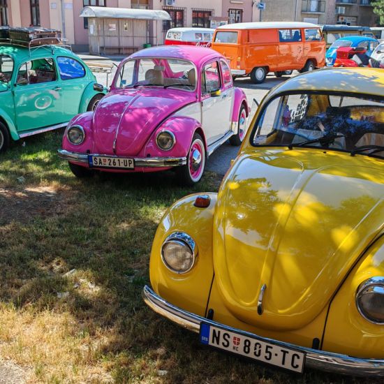 PEĆINCIDomaćini Bus – buba skupa