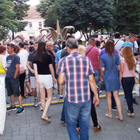 SREMSKA MITROVICAZatvaranje ulica za Vinski park