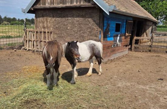 SREDNjA STRUČNA ŠKOLA „STEVAN PETROVIĆ BRILE“ RUMABeogradski zoo vrt donirao životinje