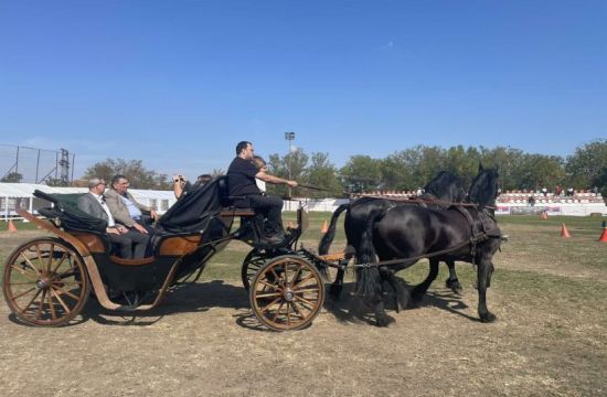 SURDUKNedelja u znaku konjičkog sporta