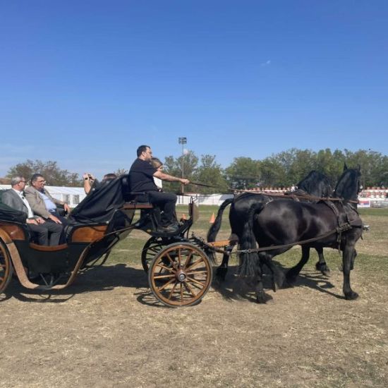 SURDUKNedelja u znaku konjičkog sporta