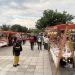 NOĆNI BAZAR U SREMSKOJ MITROVICISuhomesnati proizvodi, domaći likeri, rakije, poslastice i ručni radovi