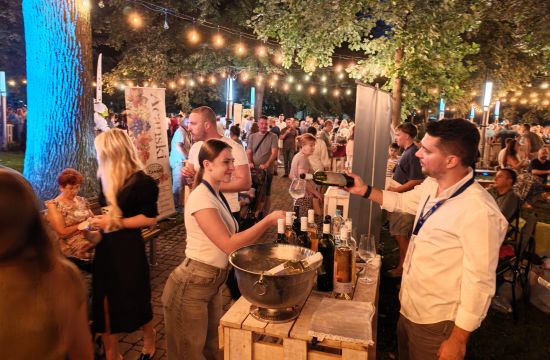 VINSKI PARK ODRŽAN U SREMSKOJ MITROVICIVeče za pamćenje