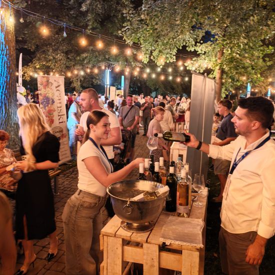 VINSKI PARK ODRŽAN U SREMSKOJ MITROVICIVeče za pamćenje