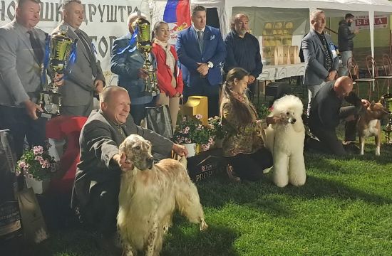 KINOLOŠKO DRUŠTVO „FRUŠKA GORA“Održana uspešna noćna izložba pasa