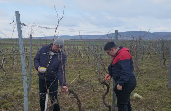 SREDNjA STRUČNA ŠKOLA „BORISLAV MIHAJKOVIĆ MIHIZ“ IRIGSledeće godine novi smer