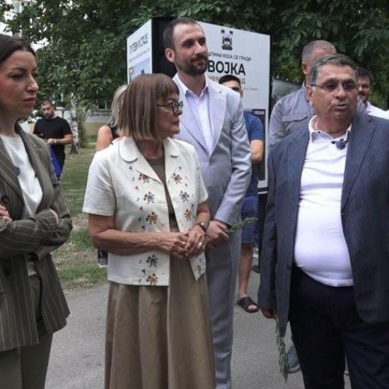 POSETAStara Pazova primer razvoja