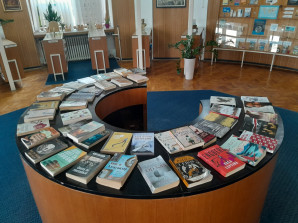 LETO UZ KNJIGE IZ MITROVAČKE BIBLIOTEKEŠta čitati dok ste na plaži?