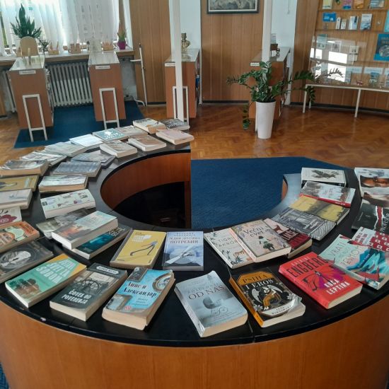 LETO UZ KNJIGE IZ MITROVAČKE BIBLIOTEKEŠta čitati dok ste na plaži?