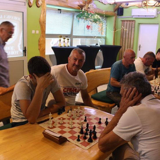 PETROVDANSKI ŠAHOVSKI TURNIR U DONJEM TOVARNIKUPobednik Uroš Petakov